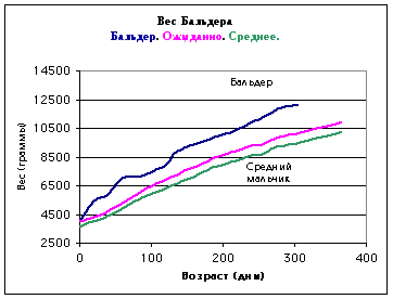 Меры Бальдера